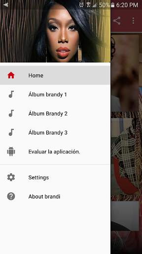 brandy songs and lyrics offline скриншот 1