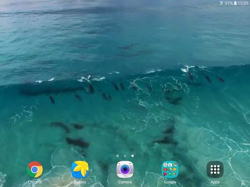 Dolphins Video Live Wallpaper screenshot 10