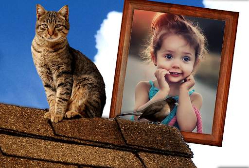 Animal Photo Frames screenshot 4