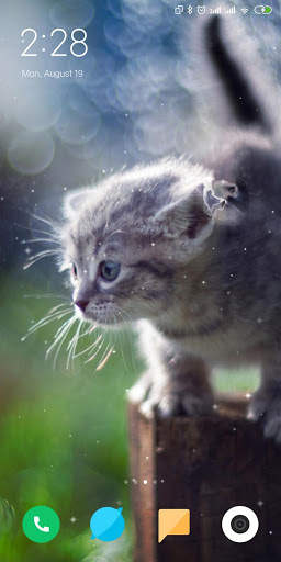 Cat Live Wallpaper screenshot 5