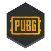 PUBG CASES 1.2