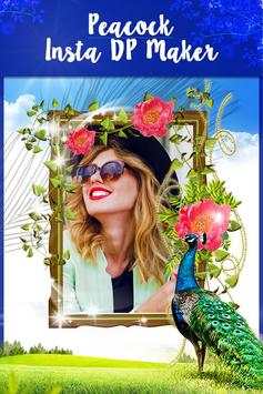 Peacock DP Photo Frames 1 تصوير الشاشة