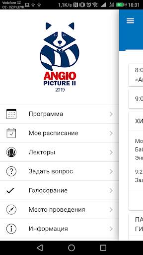 Angiopicture 2019 screenshot 6