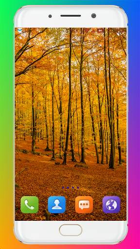 Forest Wallpaper HD screenshot 13