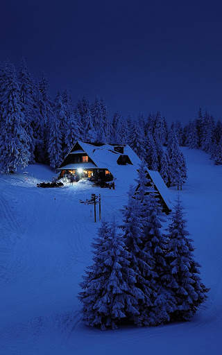 Winter Wallpapers | hd backgrounds screenshot 7