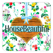 Home Decor &amp; Lighting icon