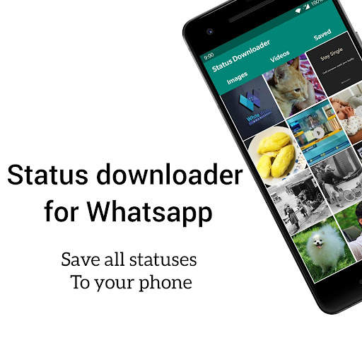 Status Downloader for WhatsApp (AD-Free) screenshot 2