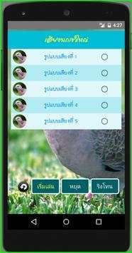 เสียงนกเขาใหญ่ เสียงนกเขาหลวง screenshot 2
