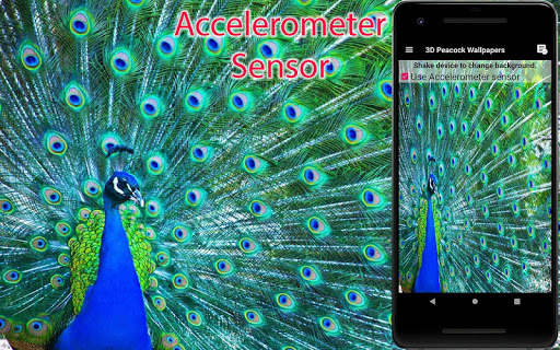 3D Peacock Live Wallpapers screenshot 4