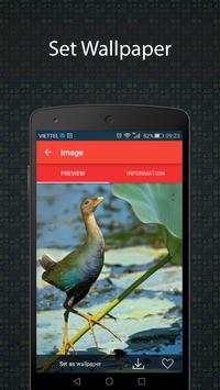 Free Ringtones 2016 screenshot 7