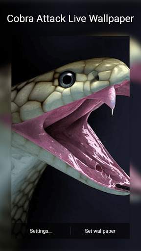 Cobra Attack Live Wallpaper screenshot 6