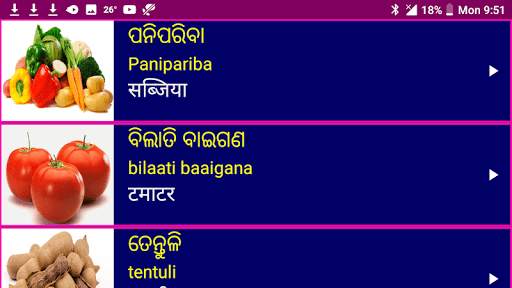 Learn Odia From Hindi скриншот 13