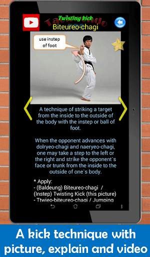 Taekwondo Pro screenshot 10