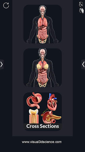 My Organs Anatomy screenshot 1