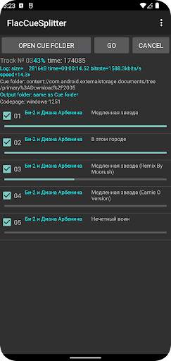 Flac Cue Splitter screenshot 5