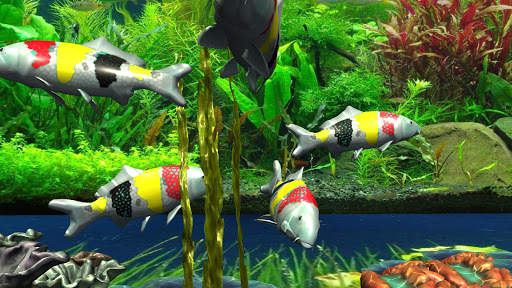 3D Koi Special Live Wallpaper Pro screenshot 7