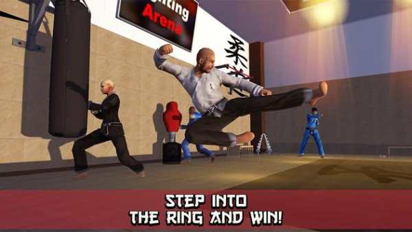 Judo Fighting Tiger 3D screenshot 3