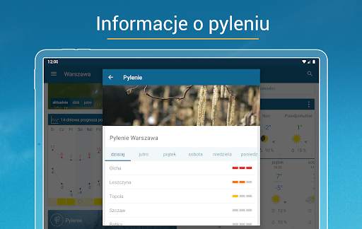 Pogoda & Radar: pogoda i smog screenshot 12