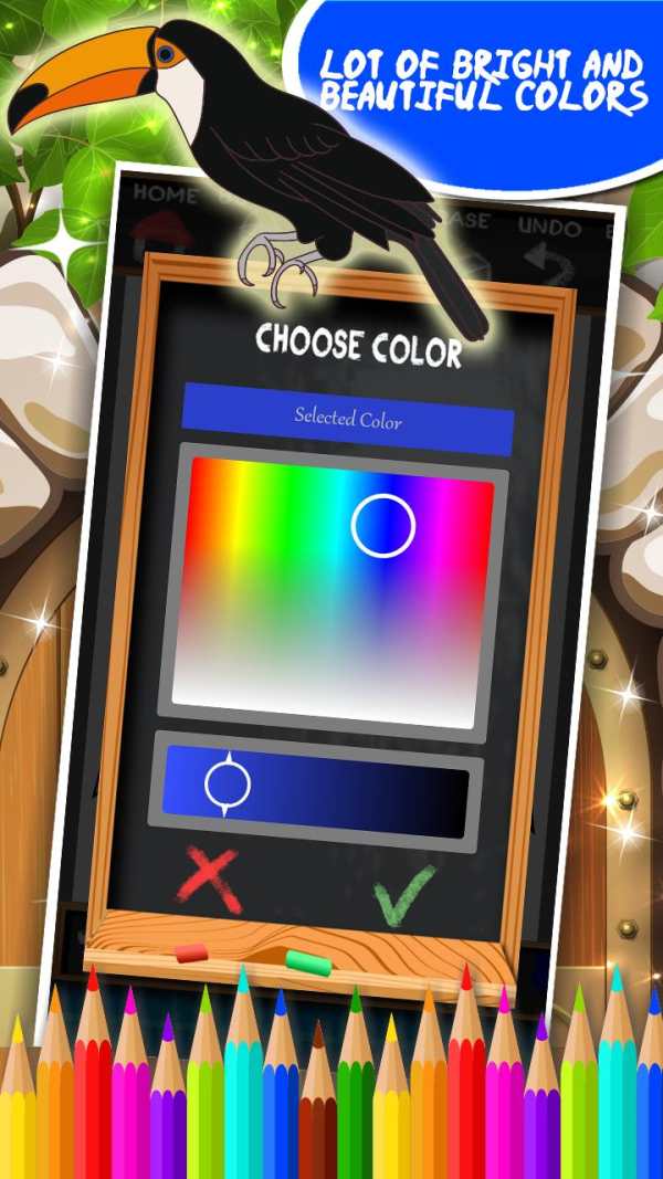 Birds Coloring Book screenshot 6