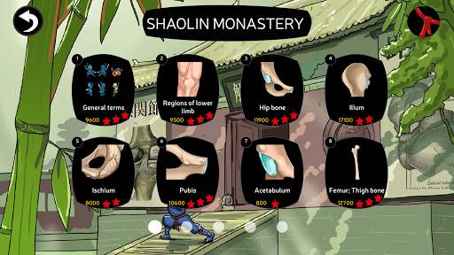 Anatomy Ninja Lower Limb screenshot 7