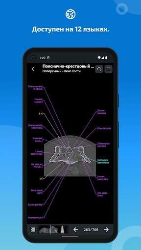 vet-Anatomy скриншот 7