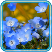 Flowers Wild HD live wallpaper icon