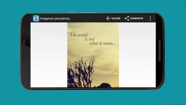 Life Pictures Whatsapp screenshot 8