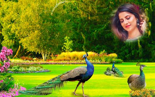 Peacock Photo Editor - CB Photo Frames Banane Wala screenshot 11