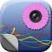 Spring Flowers Photo Frames 1.0