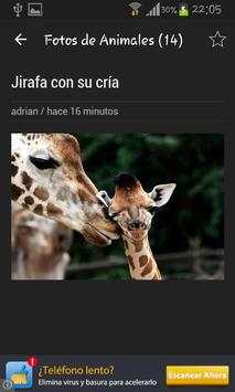 Fotos de Animales screenshot 3