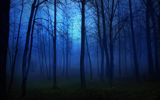 Night Wallpaper screenshot 2
