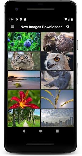 New Images Downloader screenshot 1