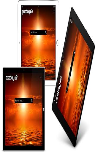 pixabay video screenshot 5