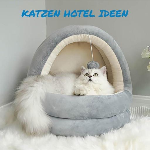 Katzen Hotel Ideen icon