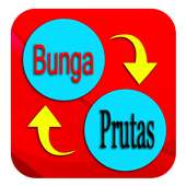 Bisaya to Tagalog Free Translation on 9Apps