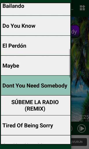 Enrique Iglesias All Music OFFLINE screenshot 5