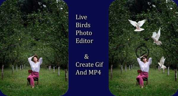 Bird Live Photo Editor screenshot 2