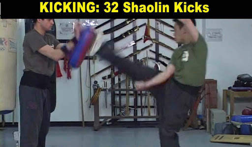 Shaolin Kung Fu screenshot 5