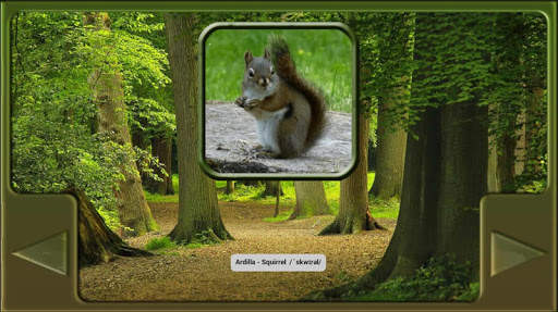 ANIMALES - ANIMALS screenshot 4