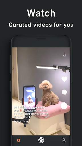PET MEOMEO - Funny cat, dog viral videos screenshot 1