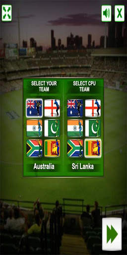 Cricket screenshot 1