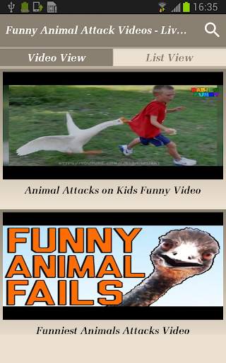 Funny Animal Attack Videos - Live Real Time Clips screenshot 2