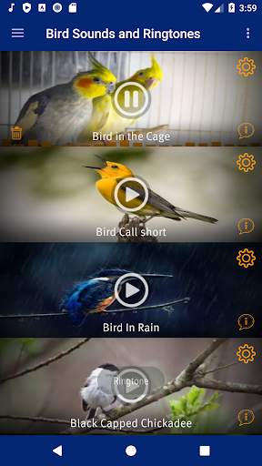 Bird Sounds and Ringtones screenshot 4