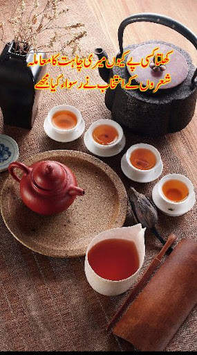 Urdu On Picture - Urdu Status screenshot 8