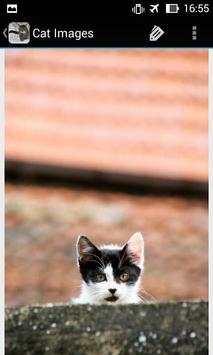 CatBG: Cat Wallpapers screenshot 5