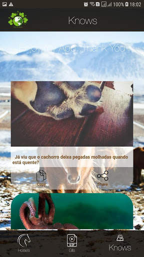 Fotos de Cavalos para papeis de parede... screenshot 5