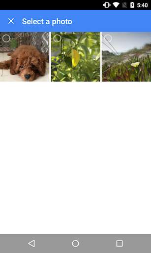 Search By Image !! screenshot 3