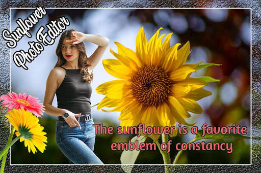 Sunflower Photo Editor 5 تصوير الشاشة