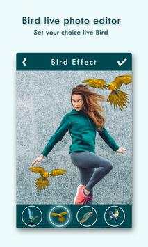 Live Birds Photo Editor : Cinamagraph Animation screenshot 2
