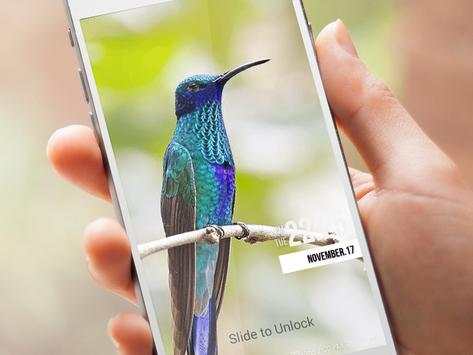 Birds Wallpaper HD Lockscreen screenshot 6